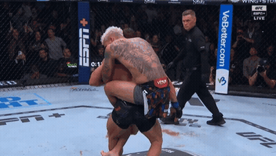 UFC Two Men Fight 19 Of 38 50 GIF