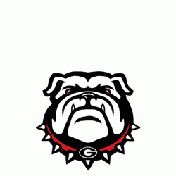 Uga Dawgs For Ossoff Vote Early GIF