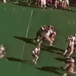 Uga Former Football Player Herschel Walker GIF