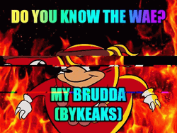 Ugandan Knuckles On Fire Glitch Meme GIF