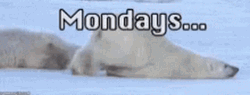 Ugh Monday Is Like A Whole Week GIF