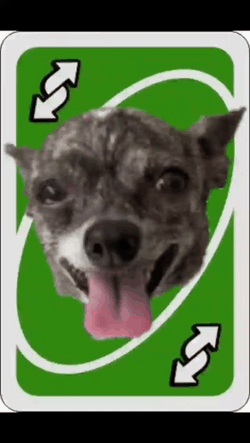 Ugly Dog Uno Reverse Card GIF