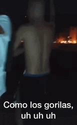 Uh Uh Like Gorillas GIF