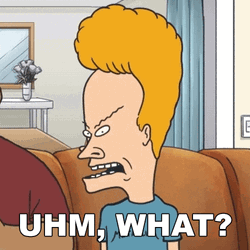 Uh What Beavis And Butthead GIF