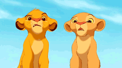Uh What The Lion King Simba And Nala GIF