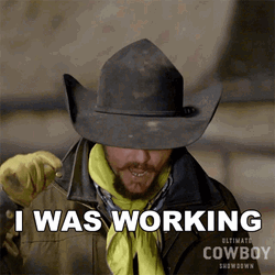 Ultimate Cowboy I Was Working GIF