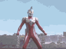 Ultimate Ultraman Pose Winner Save GIF