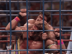 Ultimate Warrior Cornered GIF