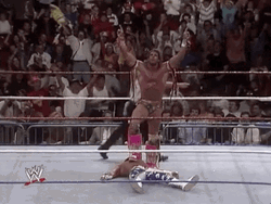 Ultimate Warrior Declared As Winner GIF