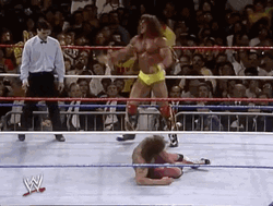 Ultimate Warrior Defeating Opponent GIF