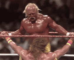 Ultimate Warrior Fighting Hulk Hogan GIF