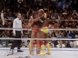 Ultimate Warrior With Hulk Hogan GIF
