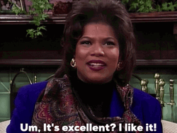Um It’s Excellent I Like It GIF