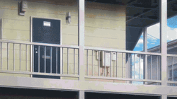 Umaru Transformation From School GIF
