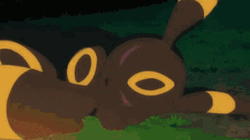 Umbreon GIF
