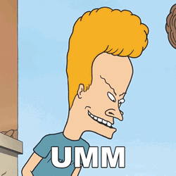 Umm Beavis GIF