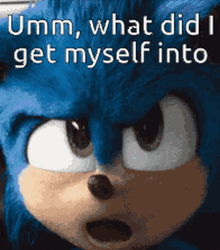 Umm What Did I Get Myself Into  GIF