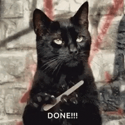 Unamused Cat Filing Her Nail Done GIF