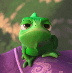 Unamused Rapunzel Pet Pascal GIF
