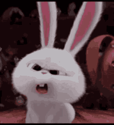 Unbelievable Huh Rabbit What Seriously GIF