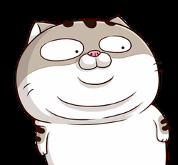 Unbelievable Shocked Cat Wide Eyed GIF