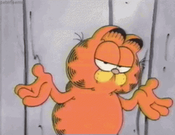 Unbothered Garfield Shrug