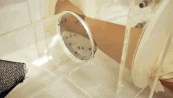 Unboxing Mosquito  GIF