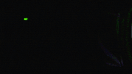 Uncle Ben Aliens GIF