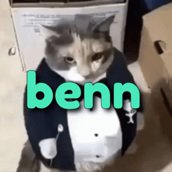 Uncle Ben Angry Cat In Suit GIF
