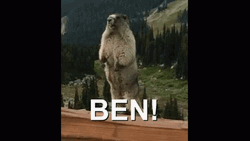 Uncle Ben Screaming Beaver Meme GIF