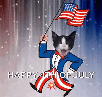 Uncle Sam Cat Holding American Flag Happy 4Th Of July GIF