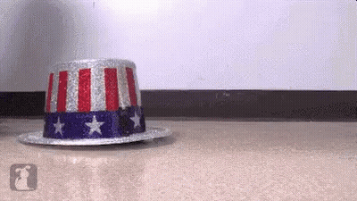 Uncle Sam Hat GIF