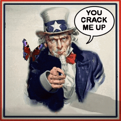 Uncle Sam Poster With Butterfly And Speech Bubble GIF