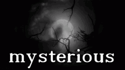 Uncovering Mystery One Mysterious Night GIF