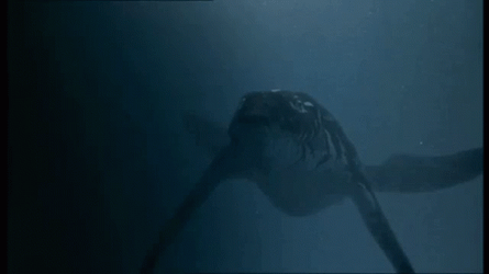 Under Water Sea Monster Mosasaurus GIF