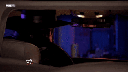 Undertaker Buckle Up Teddy GIF