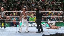 Undertaker Chokeslam The Rock On Wrestlemania 40 GIF