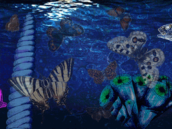 Underwater Beautiful Creatures GIF