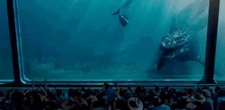 Underwater Observatory Mosasaurus GIF