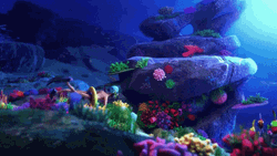 Underwater Sea Lion Attack GIF