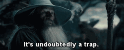 Undoubtedly It's A Trap GIF
