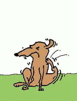 Uneasy Dog Itchy All Over GIF