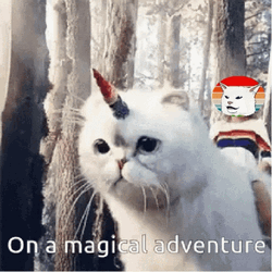 Unicorn Cat ON A Magical Adventure GIF