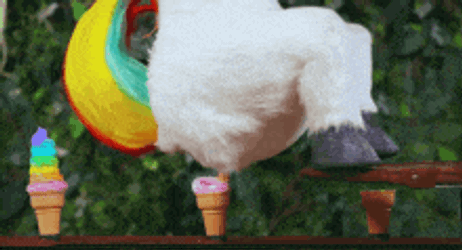 Unicorn Poop GIF