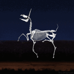 Unicorn Skeleton Running Happily GIF
