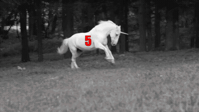 Unicorn With Number 5 On Its Back GIF