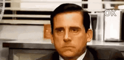 Unimpressed Michael Scott Ok GIF