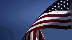 United Stated Of America Waving Flag GIF