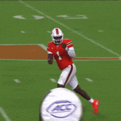 University Of Miami Hurricanes Football GIF