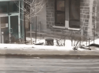 Unlucky Man Repeatedly Slipping On Ice GIF